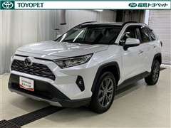 RAV4 G