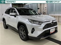 RAV4 G