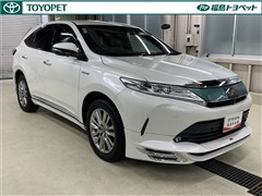 ハリアーHEV プログレス