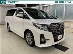 アルファード S A タイプBK
