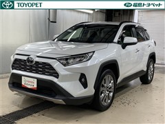 RAV4 G Zパッケージ