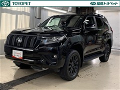 ランクルプラド TX L マットB