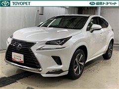 NX300h バージョンL