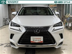 NX300h バージョンL