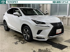 NX300h バージョンL