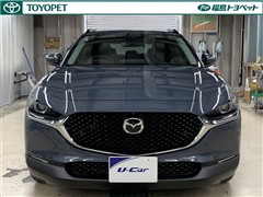CX-30 プロアクティブツーリンク