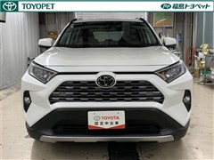 RAV4 G