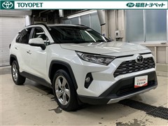 RAV4 G