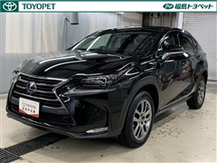 NX300h バージョンL