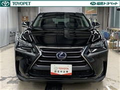 NX300h バージョンL