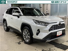 RAV4 G Zパッケージ