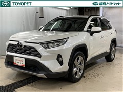RAV4 G