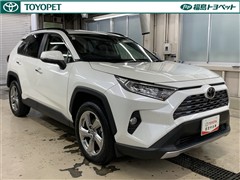 RAV4 G