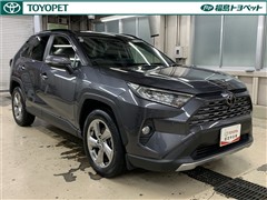 RAV4 G