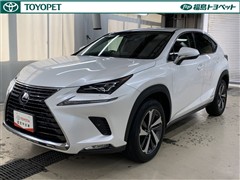 NX300h バージョンL