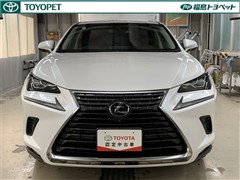 NX300h バージョンL