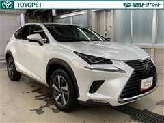 NX300h バージョンL