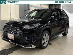 RAV4 ハイブリッドG