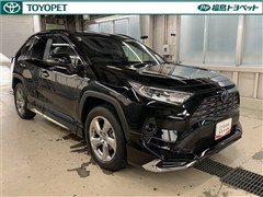 RAV4 ハイブリッドG
