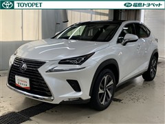 NX300h バージョンL