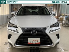 NX300h バージョンL