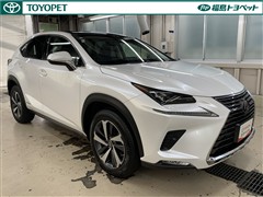 NX300h バージョンL