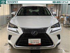 NX300h バージョンL