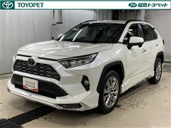 RAV4 G Zパッケージ