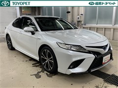 カムリ WS レザーパッケージ