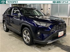 RAV4 G