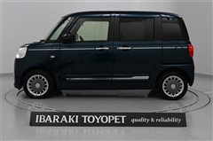 ムーヴキャンバス セオリー G