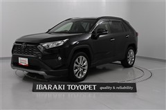 RAV4 G Zパッケージ
