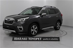 フォレスターHV アドバンス ルーフ