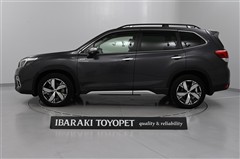 フォレスターHV アドバンス ルーフ