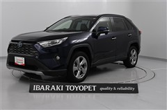 RAV4 ハイブリッドG