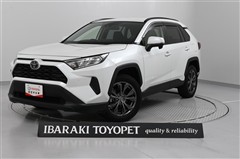 RAV4 X