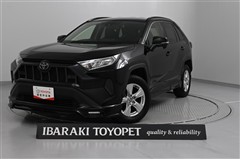 RAV4 X