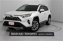 RAV4 G Zパッケージ