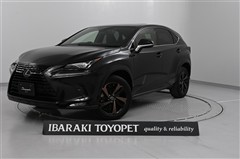 NX300 ブロンズエディション