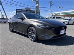 MAZDA3FB20Sバーガンディ