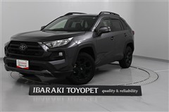 RAV4アドベンチャー オフロード