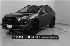 RAV4アドベンチャー オフロード