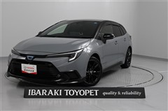 カローラTG HV WxBアクティブS