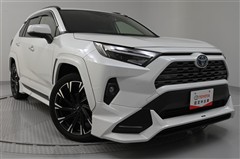 RAV4 ハイブリッドG
