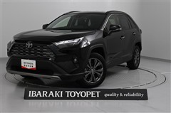 RAV4 ハイブリッドG