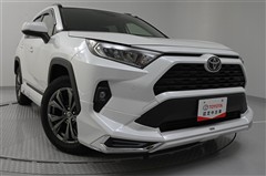 RAV4 X
