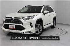 トヨタ RAV4 ハイブリッドG