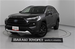 RAV4 HV アドベンチャー