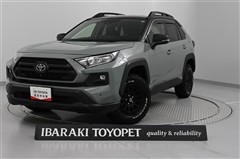 トヨタ RAV4アドベンチャーオフロード2