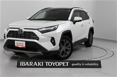 RAV4 ハイブリッドG